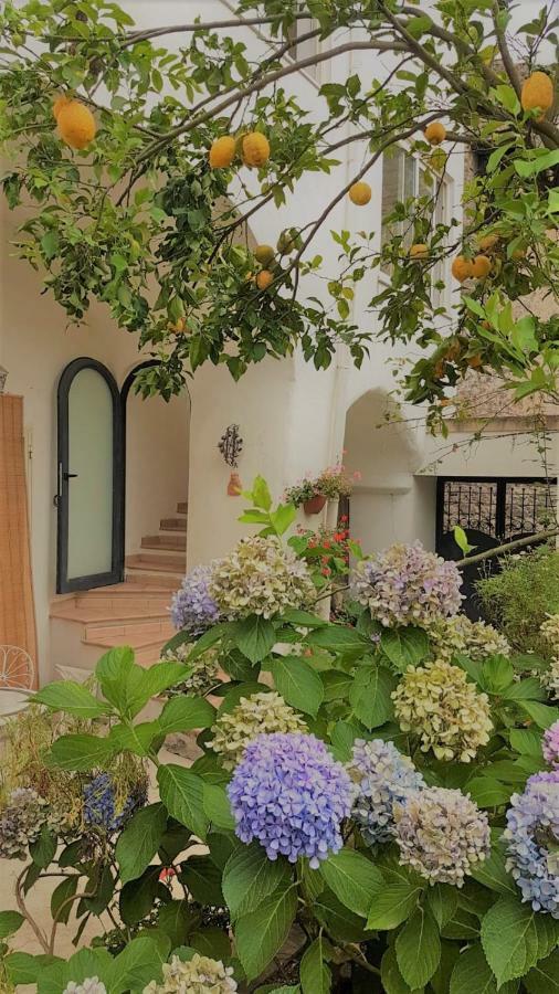 Sorrento Studios Lemons Hill Exterior foto
